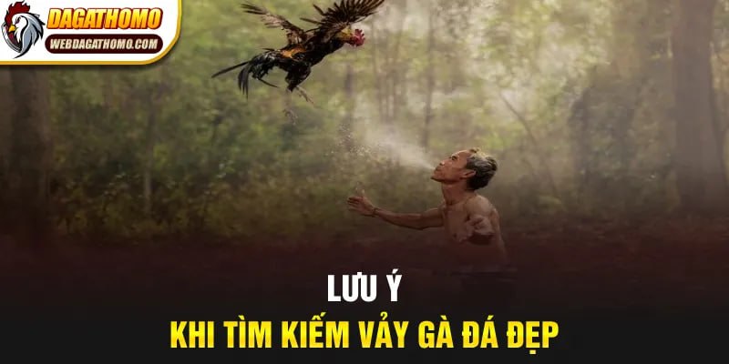 Lưu ý khi tìm kiếm vảy gà đá đẹp